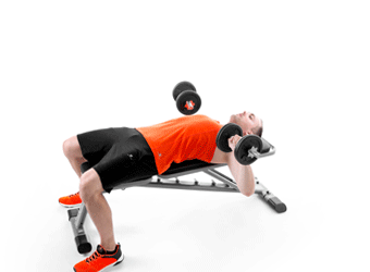 exercise using bench