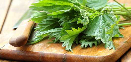 nettle leaf benefits-PCOS Treatment