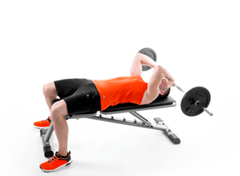 EXERCISE 5: LYING TRICEPS EXTENSION